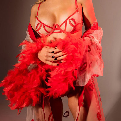 Red lip embroidered bra and garter set with matching feather robe